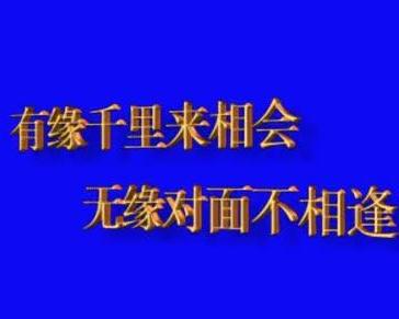 有缘千里来相会，无缘对面不。是什么生肖|精选解释解析落实