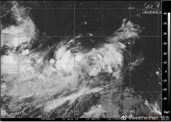 最新生成台风——台风11号的威力与影响