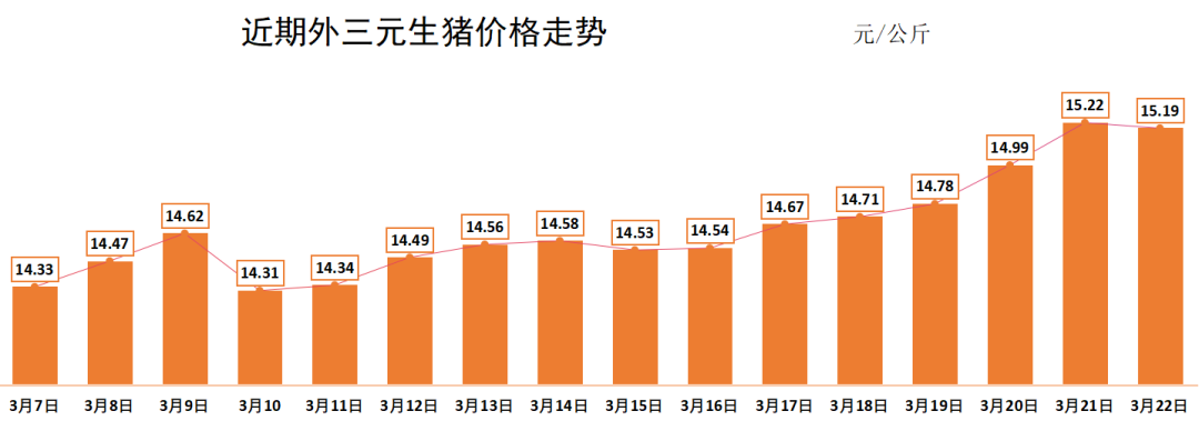 最新猪价预测下半年走势分析