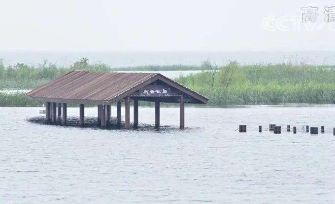 太湖水位最新消息，变化与应对策略