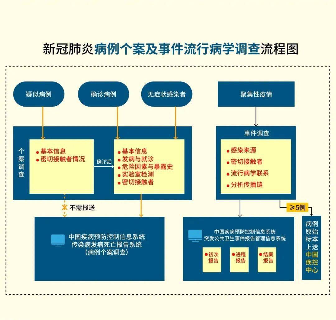 冠性肺炎病毒最新通报，全球态势与应对策略