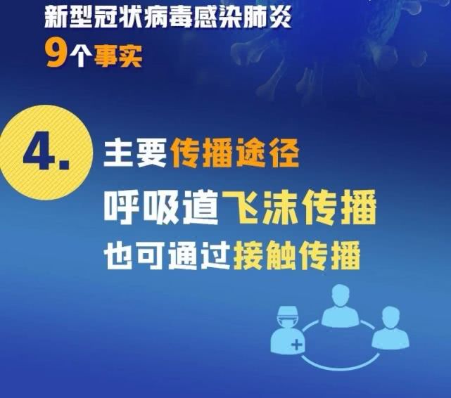 新莞病毒最新消息，全球抗击疫情的最新进展与应对策略