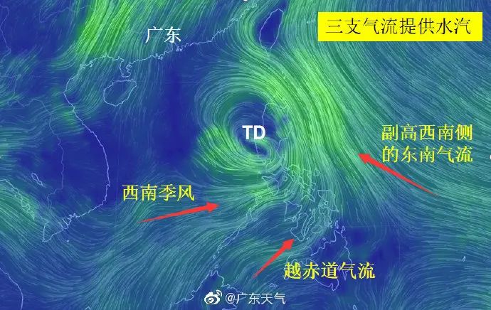 关于台风鹦鹉的最新路径动态报告